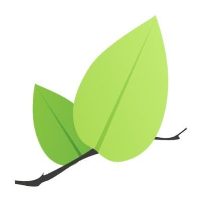 Leaflet module